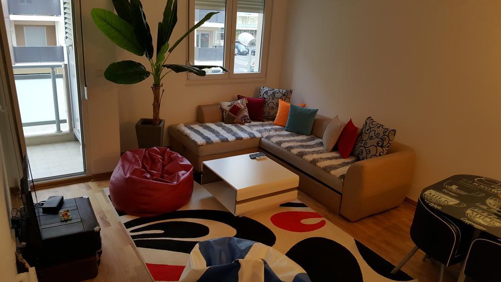 Zebra Daire Podgoriçe Dış mekan fotoğraf